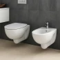 COPPIA SANITARI VASO BIDET E COPRIVASO ORIGINALE TRADIZIONALE GEBERIT
